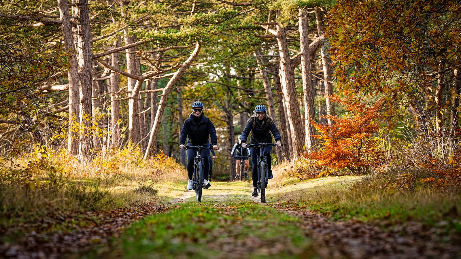 Group of mountain bikers on a forest path in autumn