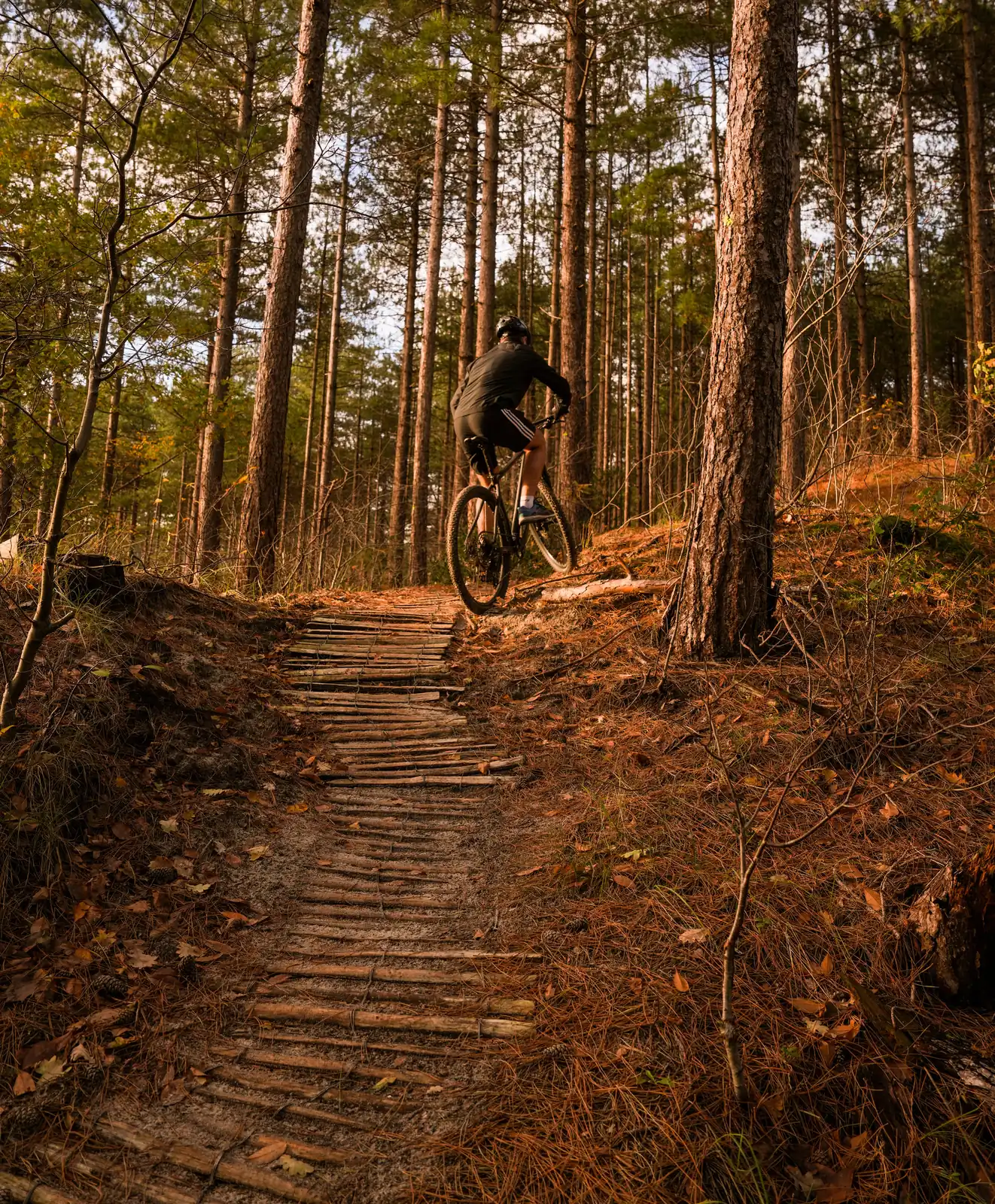 Mountainbiker op het houten parcours in het dennenbos
