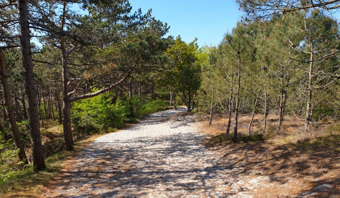 Omgeving