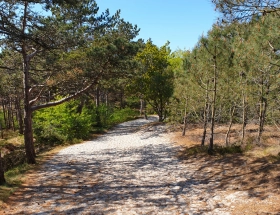 Omgeving