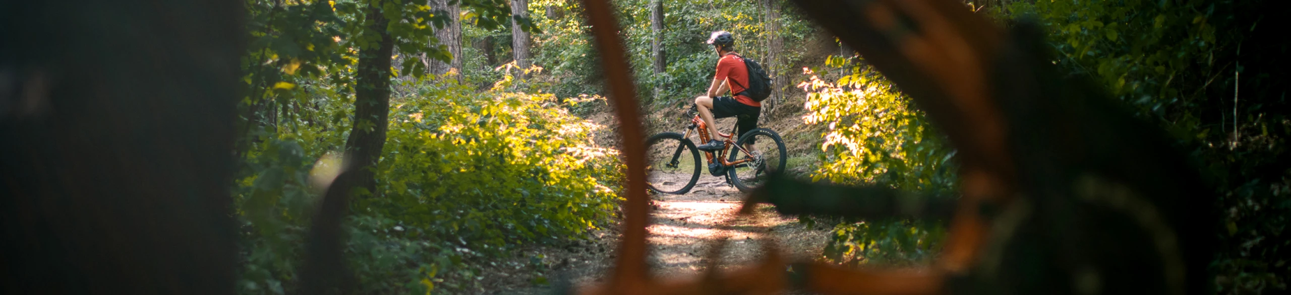Over MTB center