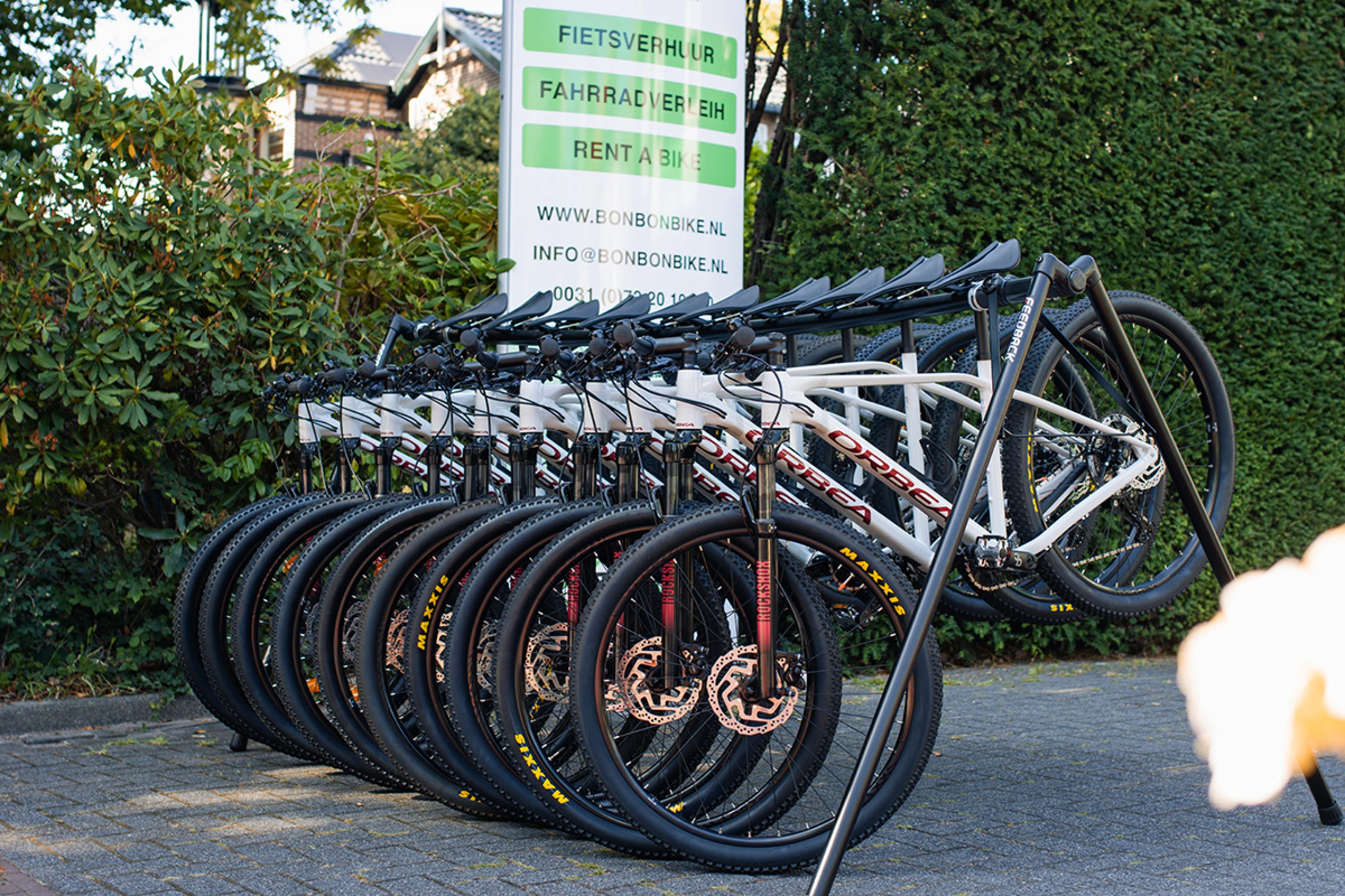 Aanbod mountainbike verhuur